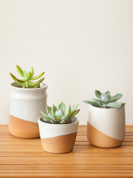 Home Goods - Athi Ceramic Vase - Medium