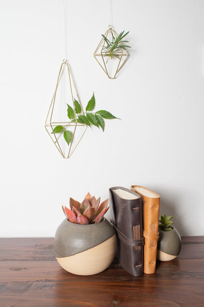 brass wall plant hanger Brass Wall Planter - Large